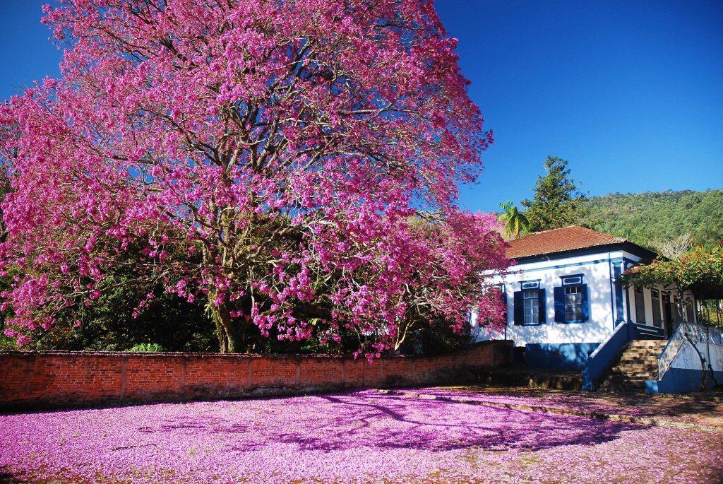 Pousada Da Fazenda - Sao Paulo