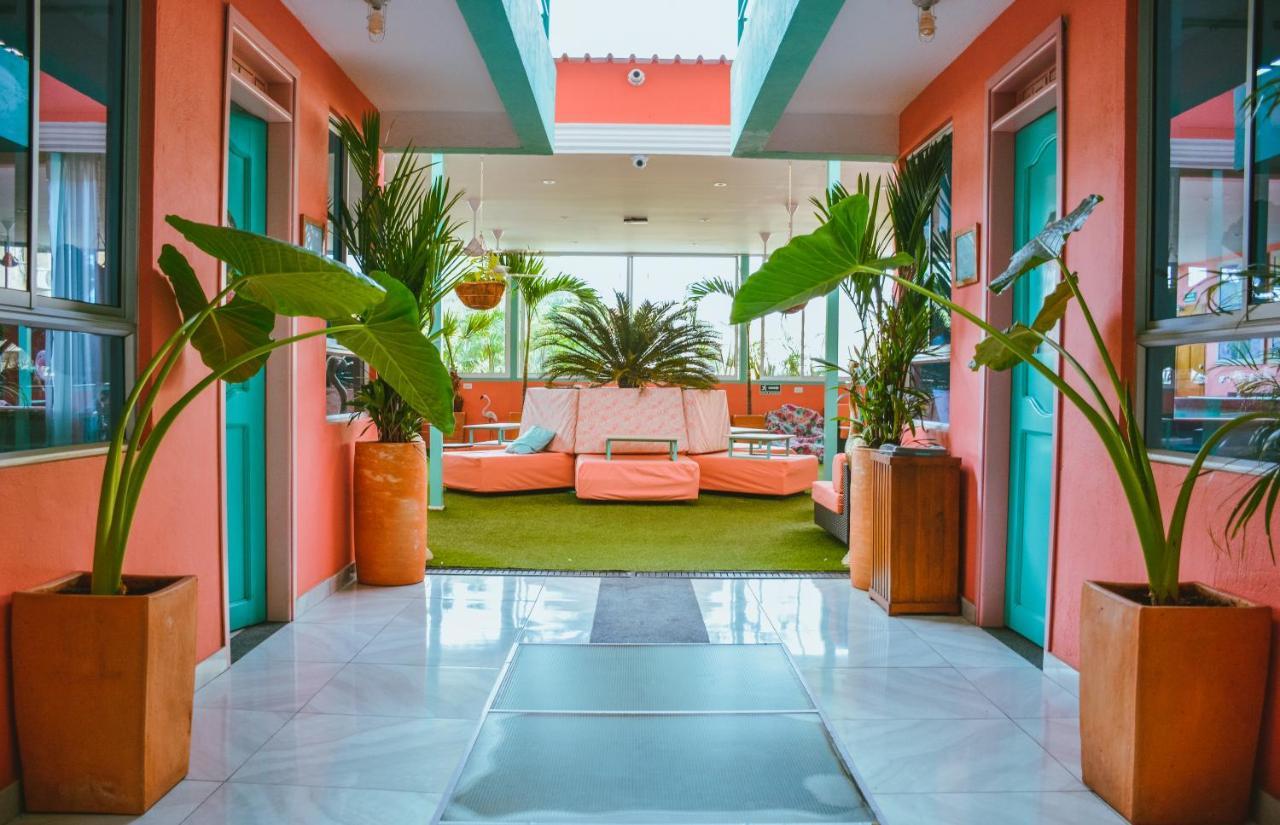 Flamingo Hostel & Coworking - Santa Marta (Magdalena)