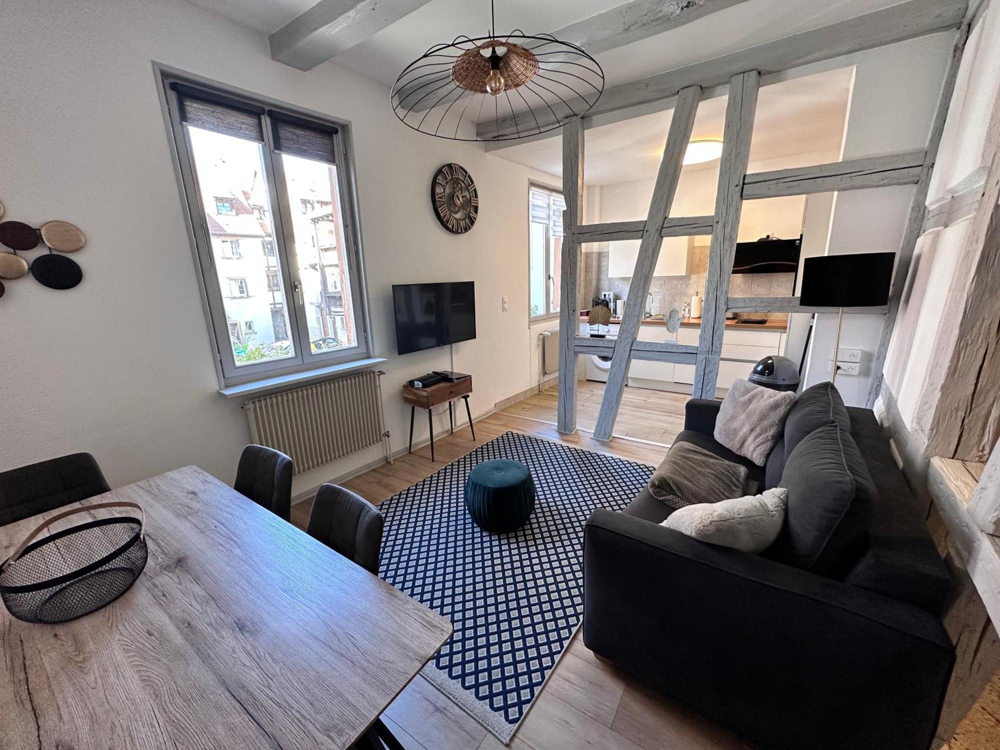 Le Wickram Villa - Colmar