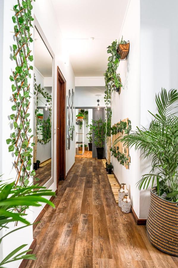 Avenue View Rooms - Porto